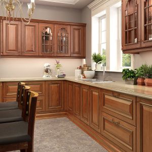Slab Scandinavian Classical Traditional Shaker Cabinets 10x10 Customizable