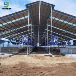 Low Cost Prefab Light Galvanized Fast Assembling Steel Structure Construction