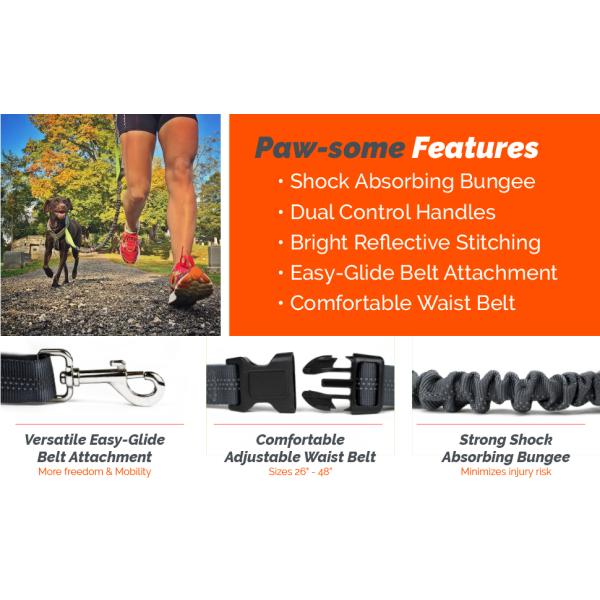 Tangle Free Bungee Dog Leash 100% Nylon Eco Friendly