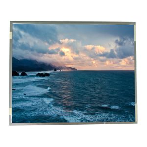 Wholesale 19.0 Inch R190E6-L01 LCD Display Screen For Medical Imaging from china suppliers