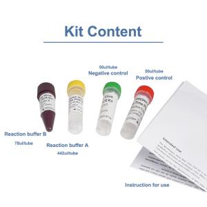 Wholesale Monkeypox Detection Kit Monkeypox PCR Kit Monkeypox Rapid Virus Detection Kit from china suppliers