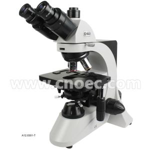 Wholesale Infinity Plan Objective Compound Optical Microscope 40X 1000X For Labortary A12.0301 from china suppliers