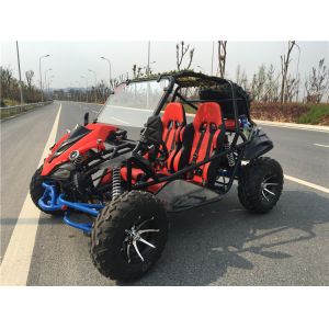 Horizontal Single Cylinder 2 Seater Off Road Go Kart 11.1 HP With 12V 9AH