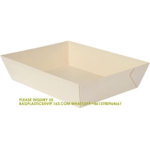 20 Ounce Compostable Food Containers, Rectangle Wooden Bento Boxes - Flare,