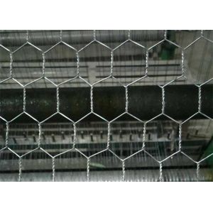 Electro Galvanized After Weaving Hexagonal Chicken Wire Mesh Netting