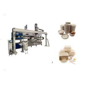 Wholesale Sugarcane Bagasse Plates Making Machine With Drying Function from china suppliers