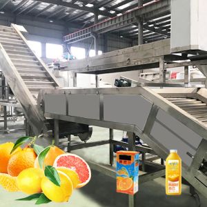 One-stop Solution For Customized Lemon Beverage Processing And Production
