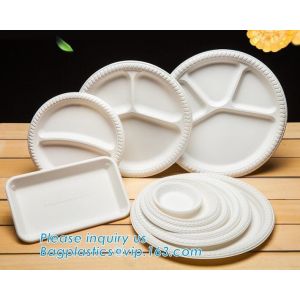 Biodegradable Disposable Sugarcane Bagasse Party Plate,Eco-friendly sugarcane