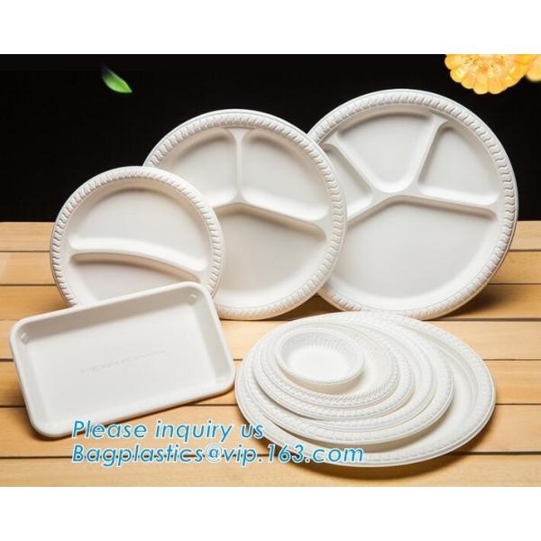 Biodegradable Disposable Sugarcane Bagasse Party Plate,Eco-friendly sugarcane