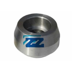ASTM A182 F304 OLET Pipe Fittings Galvanized Surface Customized Dimensions