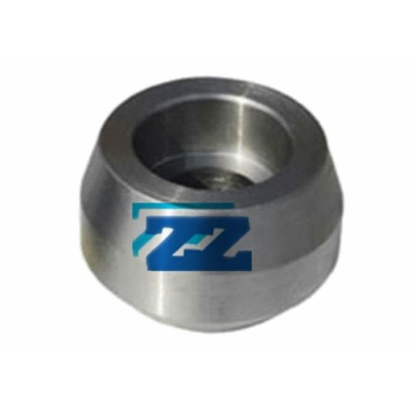 Quality ASTM A182 F304 OLET Pipe Fittings Galvanized Surface Customized Dimensions for sale
