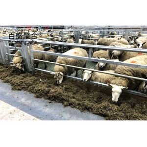 China Hot Dip Galvanised Prefabricated Sheep Shed Building for Withstand Harsh Weather on sale