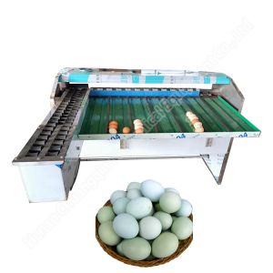 Chicken Farm Classifier Chicken Farm Grading Machine Chicken Egg Sorting Machine