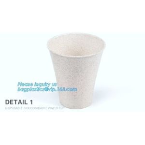 Custom Disposable Clear Cold Drink Juice Cup 100% Ecofriendly Biodegradable