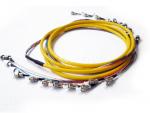 FC / UPC 12 Cores Optical Fiber Patch Cord Single Mode for CATV