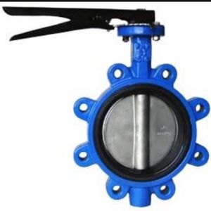 API 598 Fully wafer type butterfly valve Pn16 Pressure Rating for Wafer Lug