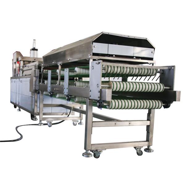 Versatile Tortilla Production Line Voltage 220V / 380V Temperature Control Range
