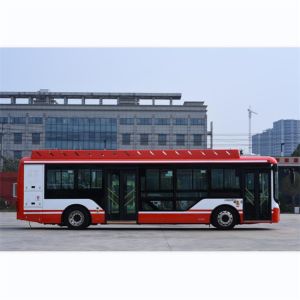 10.5m Low Floor Battery Electric Buses Integral Power Steering 240kw