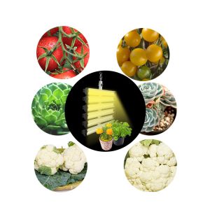 Wholesale VEG AC265V Full Spectrum LED Grow Lights 4424lm Indoor Farming Led Lights from china suppliers