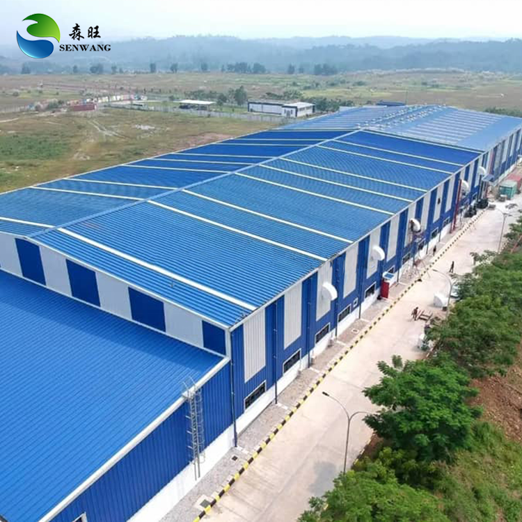 Custom Steel Structure Building with Galvanized Frame