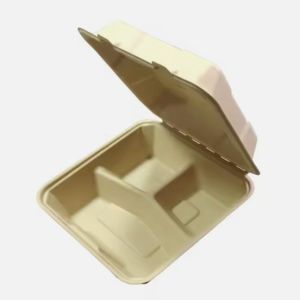 8 Inch *3 Grid Pulp Lunch Box Disposable Biodegradable Take Away Food Box