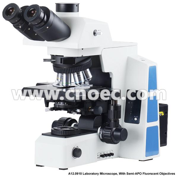 Quality APO Trinocular Compound Optical Microscope with Halogen Lamp Illumination for sale