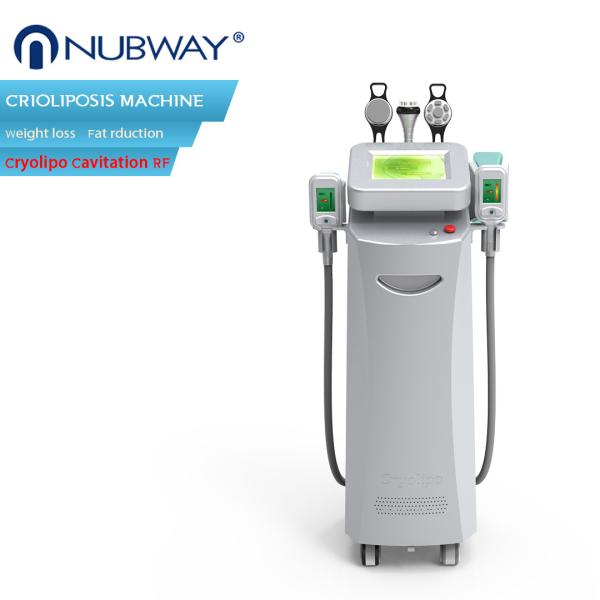 5 handles working simultaneously cryo + rf + cavitation cryolipolysis cool shape