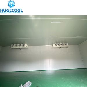Refrigerant Freon High Density PU Panel Cold Storage Room Panels