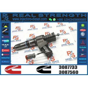 China 3080766 3083622 3083846 3087560 3087733 3095086 3095086 3411691 3411759 3411760 N14 NH NT 14.0L INJECTOR For Cummins Engine on sale