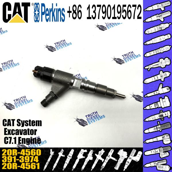Competitively Fuel Injector 371-3974 20R-4560 3713974 20R4560 with more models for CAT