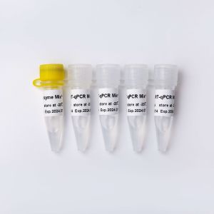 Wholesale GDSBio One Step RT QPCR Master Mix V5009 V5010 from china suppliers