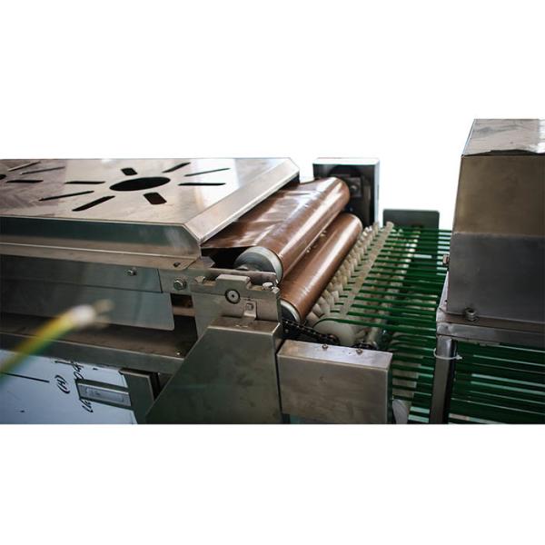 10cm 800pcs/h Adjustable Commercial Tortilla Machine