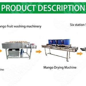 Strawberry Fruit Dehydrator Drying Machine Frozen Vegetables Processing Line