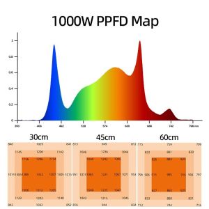Full Spectrum 1000W LED Plant Grow Lights Custom Commercial Horticulture Indoor
