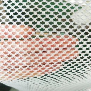 Plastic Fencing Poultry Breeding Netting Chicken Net and Garden Netting Balcony