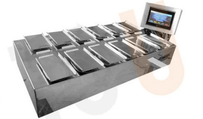 Quality MCU Control 10WPM Fruit And Vegetable Packaging Machine Combination Scale for sale