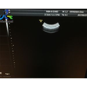 GE RAB4-8-D Wideband Convex Array Ultrasound Probe For Gynecological