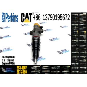 Engine Fuel Injector 293-4067 293-4074 10R-9003 10R-7223 10R-4764 10R-2828 10R