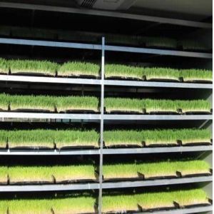Multi-Functional Container Forage for Double Layer Flower/Vegetable/Seed