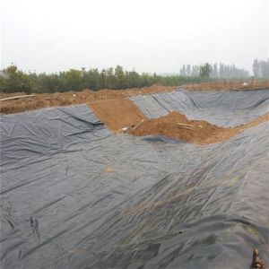 High Density Polyethylene Fish Pond Liners with Textured Surface