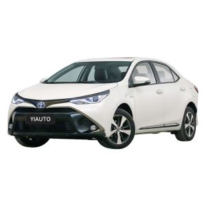 2023 Newest Model Long Range Pure Electric Car for Adults MHEV Energy Type TO