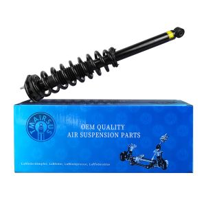 1015620-01-E Rear Coil Spring Shock Absorber for Tesla Model S