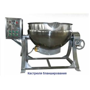 Fruit and vegetable cake production line- Pre-cooking pot, Temperature