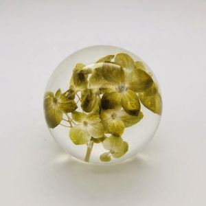 Real Flower Paperweight Dia80mm With Hydrangea Inside
