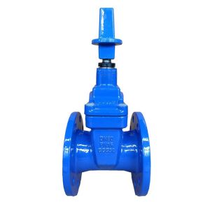 Ductile Iron Soft Seated Gate valve Flange End DN50-DN800