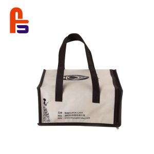 Temp Insulated Cooler Bags Customized Size Easy To Carry Out Fabric Shopping Bag