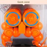 250W Zumex Orange Juicer , Apple / Lemon / Orange Juice Extractor Machine For