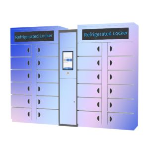Wholesale Winnsen Cabinet Vegetable Refrigerated Locker Electronic Storage Smart Lockers from china suppliers