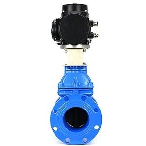 Standard Specification Gate Valve Drain Valve Customized for Your Industry