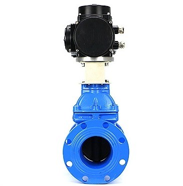 Standard Specification Gate Valve Drain Valve Customized for Your Industry